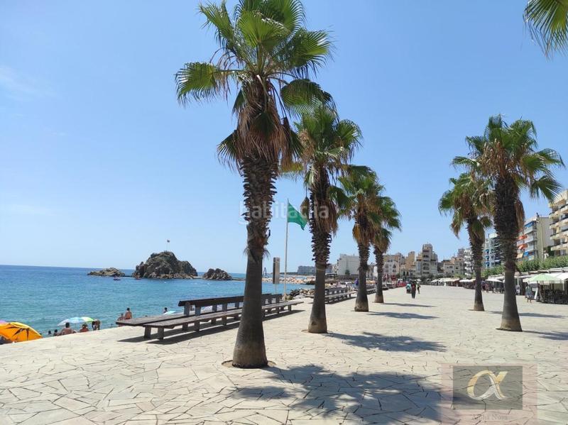 Foto a5f1935a-2a96-4af3-89fe-ab833a2fc31d. Terrain résidentiel dans La plantera Blanes