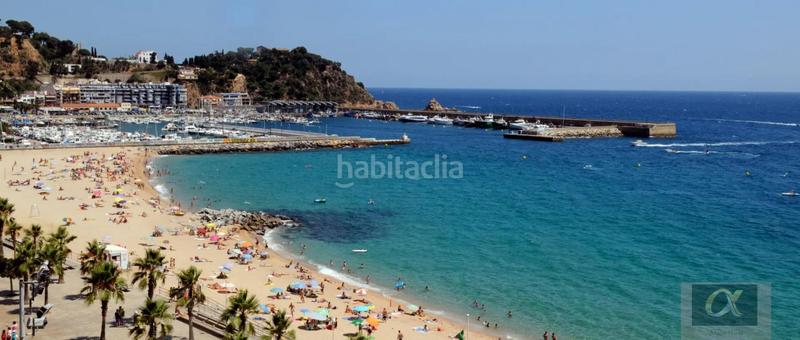 Foto c1562ffb-32eb-48ac-86b5-ef44cd3cce8c. Terrain résidentiel dans La plantera Blanes