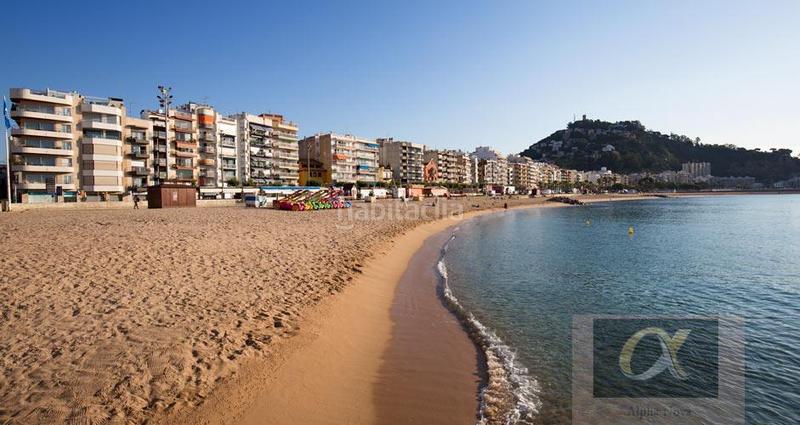 Foto eb618569-56de-4dd6-950f-77773dd78470. Terrain résidentiel dans La plantera Blanes