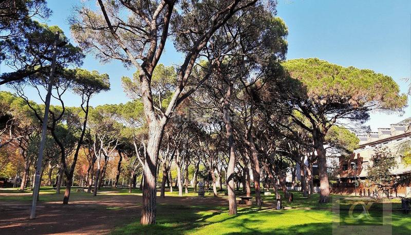 Foto 81cdf82e-96a5-48c4-8fcd-9930d617ff76. Terreny residencial a Cardedeu