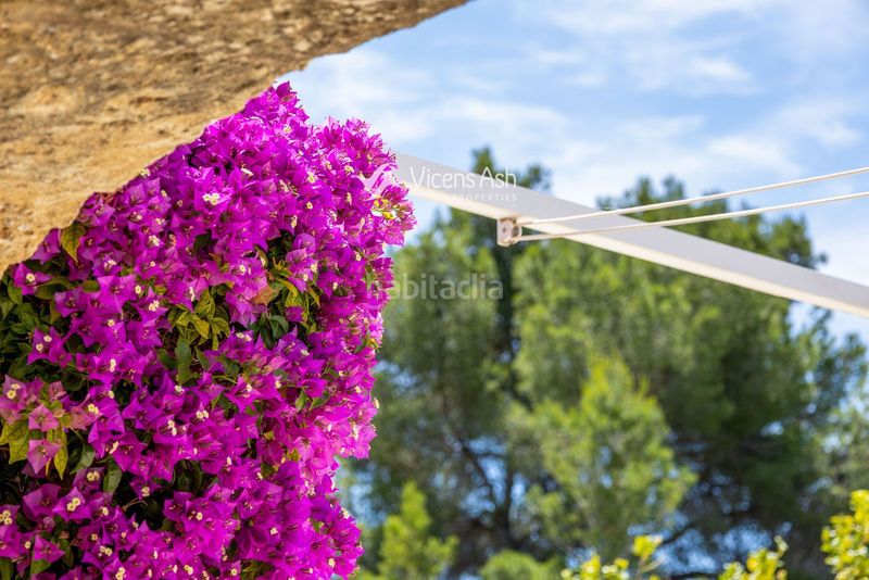 Foto f4c3d0a8-20ba-42a0-b385-dd152bb039f2. Casa amb aparcament piscina a Partida Tosal - Zona dels Castellans Xàbia
