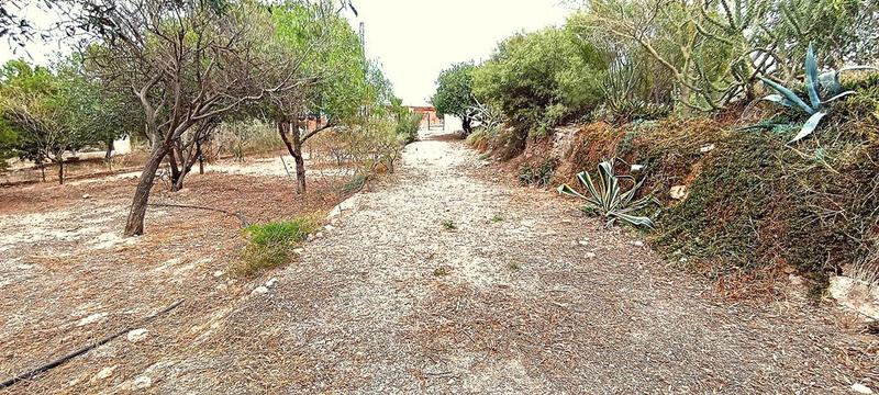 Foto 5dbf4486-535b-458c-a236-74e52dc91e35. Chalet con piscina in Fontcalent Alicante