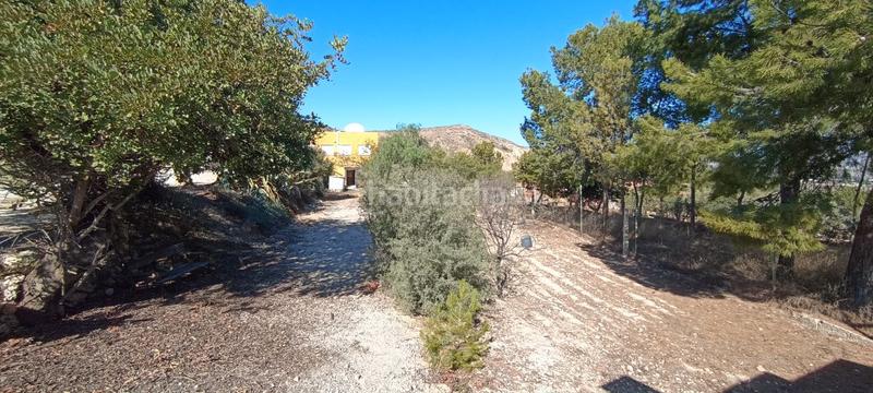Foto fbccd410-57ef-4a38-8d9a-282deb6fca20. Chalet con piscina in Fontcalent Alicante