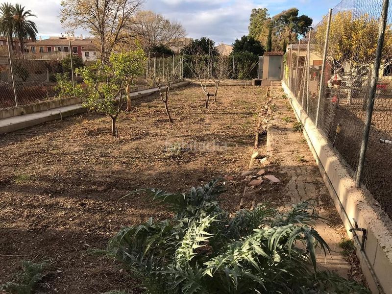 Foto 950873f1-7f17-4cab-8518-067ba2615958. Casa a Centro Mutxamel