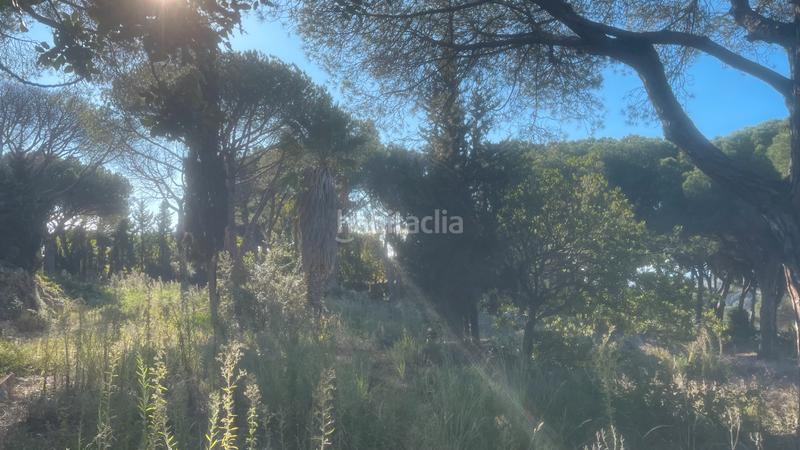 Foto 354f9e41-0800-4502-8f1a-17091eb96b00. Terrain résidentiel dans Cabrils