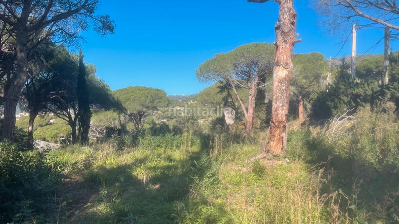 Foto cd347382-8bd8-4c67-9b86-1daca0dd3167. Terrain résidentiel dans Cabrils