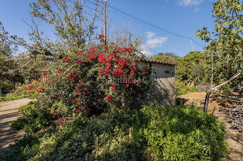 Foto aea7521e-3689-4f18-9200-3117d272668e. Bauernhof mit heizung in Nucli Urbà Argentona