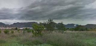 Rural plot  Parcela 784