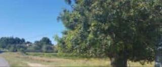 Residential Plot in Monserrat