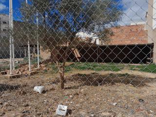 Terreny residencial a Catarroja