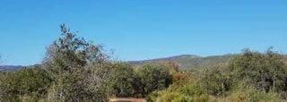 Finca rústica  Partida les plantes
