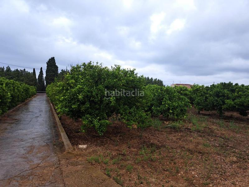 Foto b92414f6-7f6d-41a7-bbff-abf703f616f7. Finca rústica en Costa Norte Vinaròs