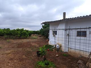 Finca rústica  Les deveses vinaros
