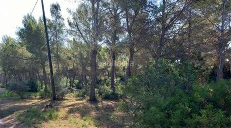Foto 4b62dd46-ee48-4645-be10-8e1b6674dbac. Finca rústica a La Renegà-Torre Bellver-Les Platgetes Oropesa del Mar