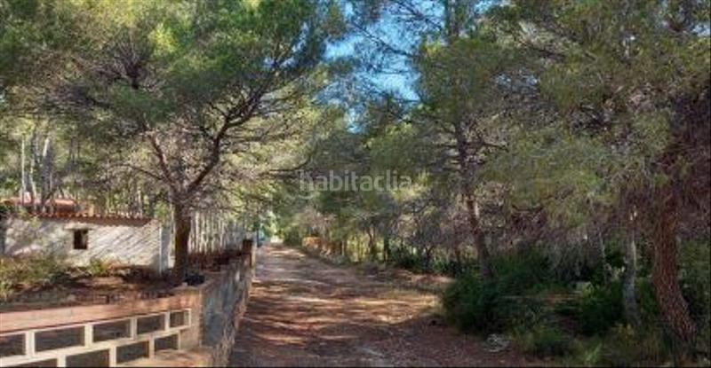 Foto e1183a27-afa9-4fc7-9e13-1f9955ac1b99. Finca rústica a La Renegà-Torre Bellver-Les Platgetes Oropesa del Mar