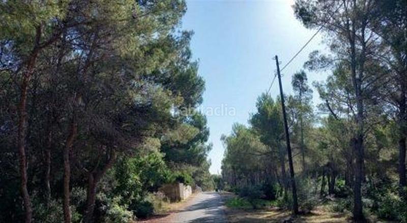 Foto 465ab2d3-aa81-4c37-8a37-add29c6414ee. Finca rústica en La Renegà-Torre Bellver-Les Platgetes Oropesa del Mar