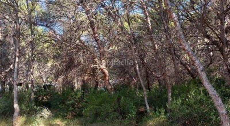 Foto a6877d1b-831a-4f28-8bb1-937ab2f696ef. Finca rústica en La Renegà-Torre Bellver-Les Platgetes Oropesa del Mar