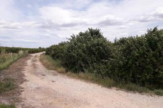 Finca rústica a Alberic