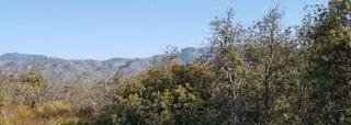 Fondo rustico in Benicolet