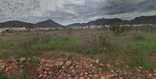 Rural plot  Parcela 784