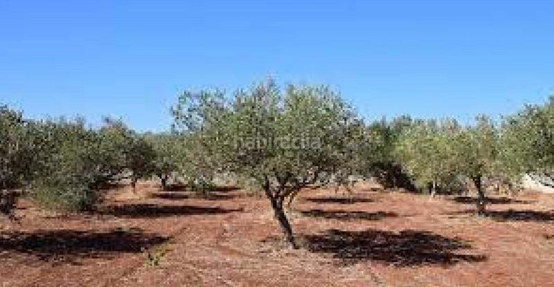Foto b4325b89-04ca-47f8-9d23-7f7a0381bec9. Finca rústica en Rossell