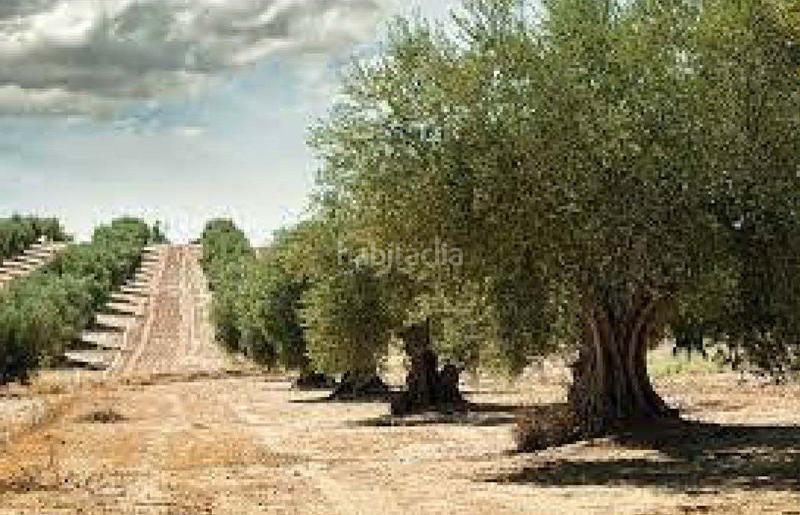 Foto 39f4ae68-8f6f-4da2-9137-3034a5254acb. Finca rústica en Rossell