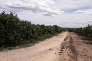Rural plot  Realengo