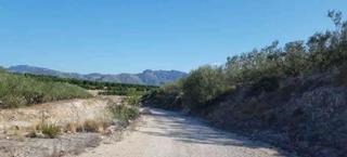 Finca rústica  Partida les plantes