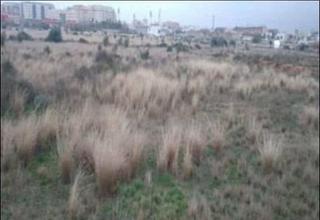 Residential Plot in Pau Lledó