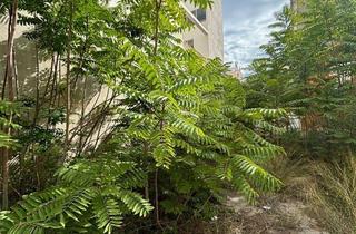 Residential Plot in Ensanche - Parque del Oeste