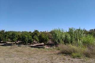 Terreny residencial a Sueca