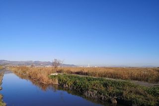 Propriété à Llosa (la)
