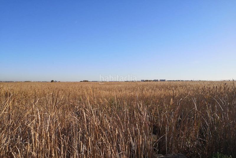 Foto aaf9835d-8203-455f-b91d-82e5c6e84250. Finca rústica en Llosa (la)