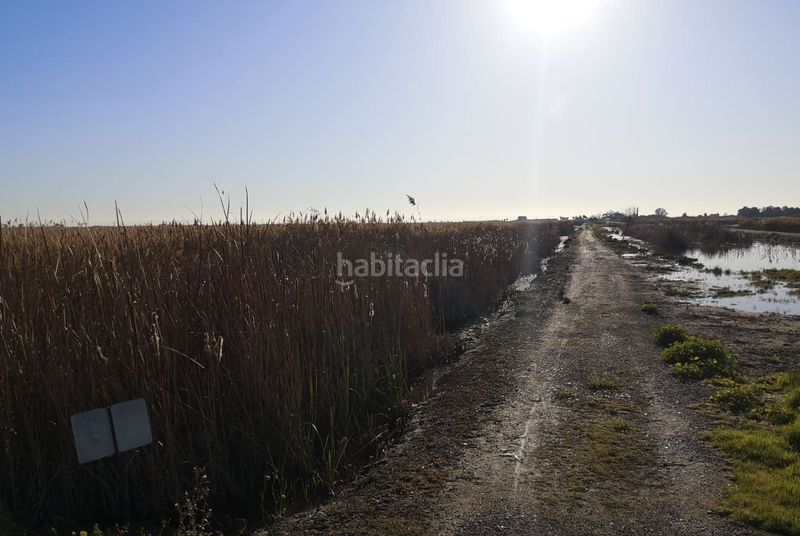 Foto df324849-19bc-4120-90c0-d378eae95d08. Finca rústica en Llosa (la)