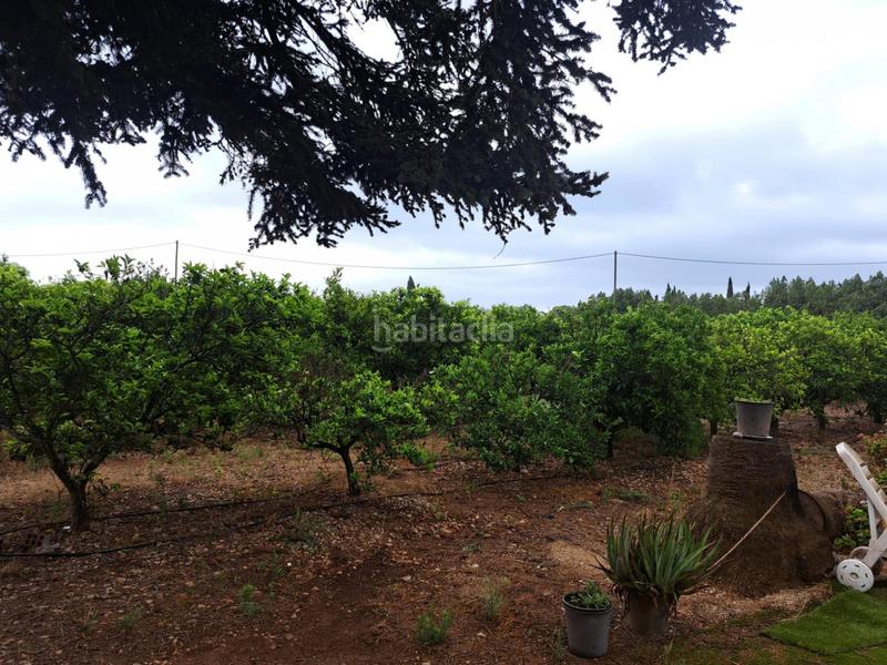 Foto c815094c-6168-4932-9f61-39bf42f1254a. Finca rústica en Costa Norte Vinaròs