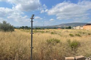 Wohngrundstück in Antella