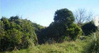 Terreny residencial a Sueca