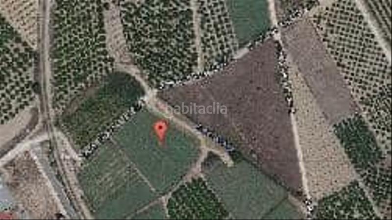 Foto e03c7c6d-9f87-4cf5-80e4-fb456dfb99cf. Terrain résidentiel dans Villanueva de Castellón