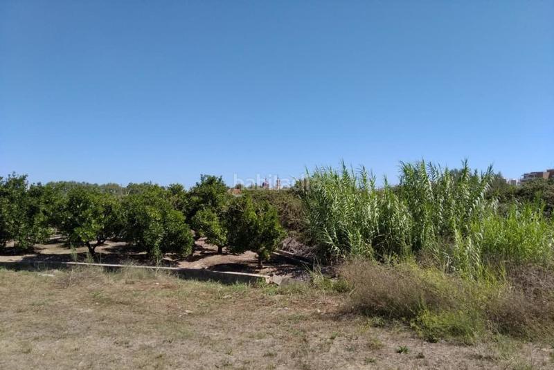 Foto af4b9fad-b1c2-4cac-8cd7-c0bf8bd65827. Terreno residenziale in Sueca Sueca