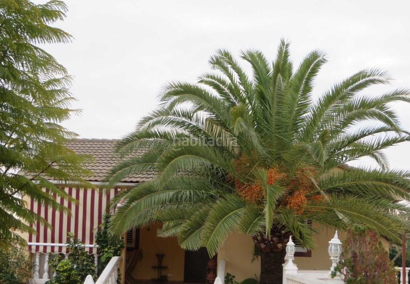 Foto fd508f9b-bfe4-4c40-bddc-8d75b0a27614. Chalet en Vilamarxant