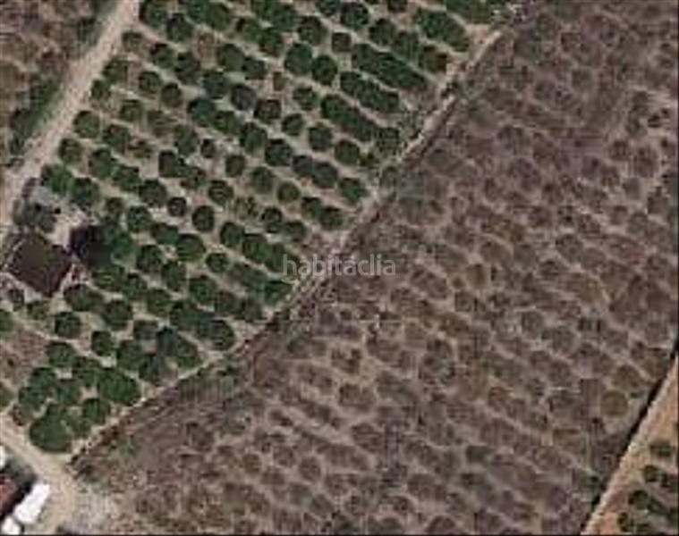 Foto c876c014-9f39-46e3-9231-ef83950bf200. Residential plot in Llaurí