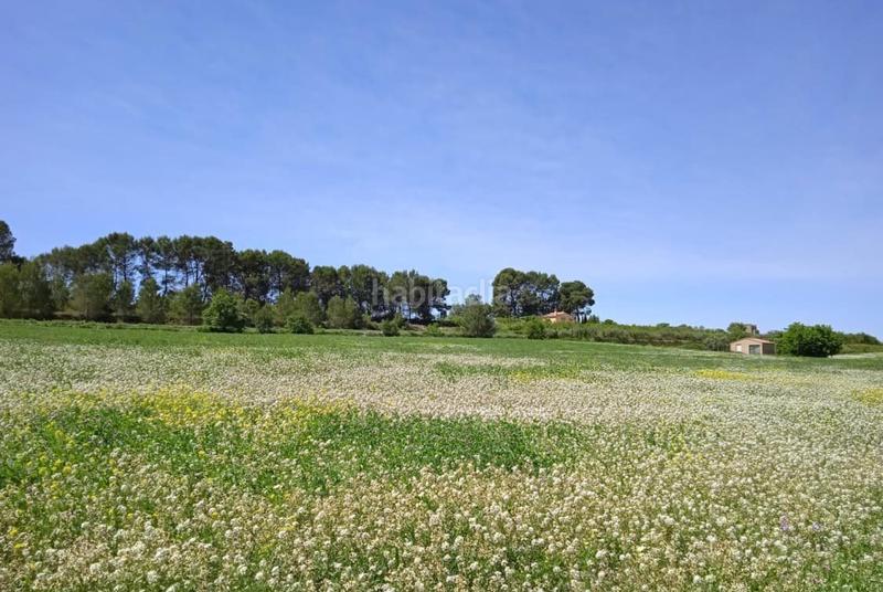 Foto a43907e5-86d1-4fb7-b5d7-8dd36febfee3. Terreno residencial en Agullent