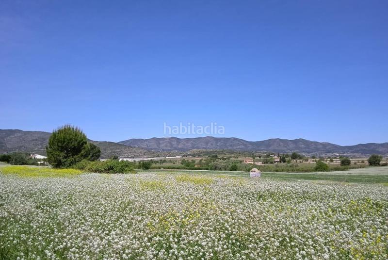 Foto a6b60f79-7dcb-4e6f-a5e3-31c1de8b1da0. Terreno residencial en Agullent