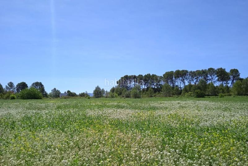 Foto bcdd0154-3ba1-4afb-96b6-3c1be5a54f67. Terreno residencial en Agullent
