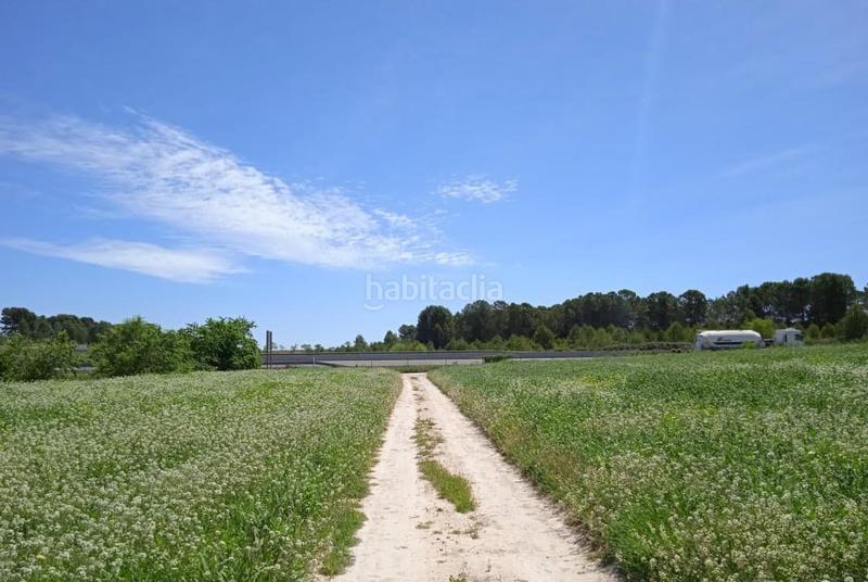 Foto d927df73-ca81-49f7-8b55-8345f4a750d5. Terreno residencial en Agullent