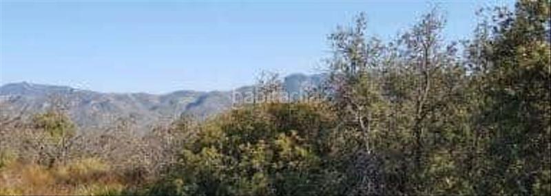 Foto 0d8e095c-9b1e-44ec-b20e-e14b302178d4. Landgut in Benicolet