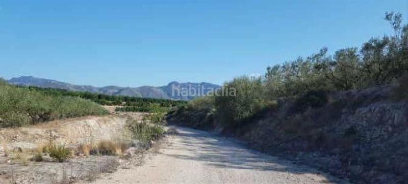 Foto 87046bc9-060f-4af0-b44c-ff2c3102135e. Propriété dans Benicolet