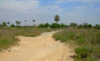 Terreny residencial a Carcaixent