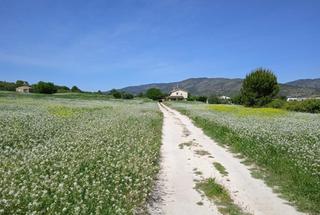 Residential Plot in Agullent