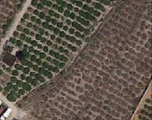 Wohngrundstück in Llaurí